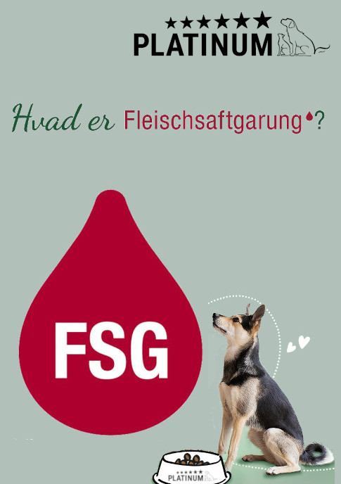 PLATINUM FSG Hundefoder